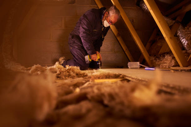 Best Blown-In Insulation  in Andrews Af, MD